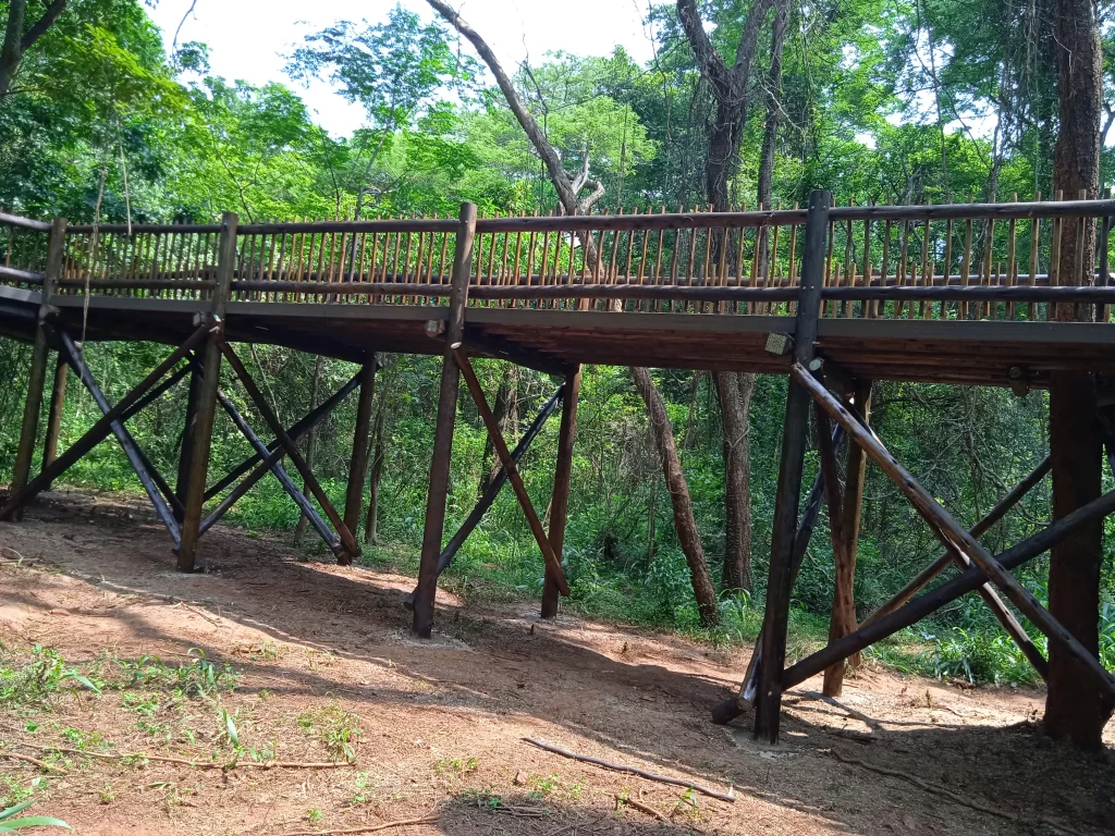 Custom timber bridge
